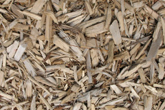 biomass boilers Kingcoed