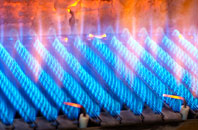 Kingcoed gas fired boilers